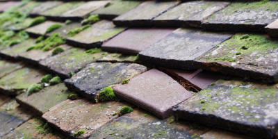Farnham Royal roof repair costs